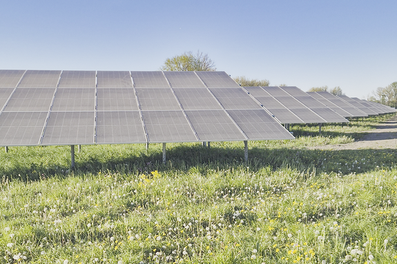 Die neue Freiflächen-Solaranlage der Freisinger Stadtwerke. Foto: Brigitte Fuchs Große Solarmodule stehen auf einer Wiese vor blauem Himmel.
