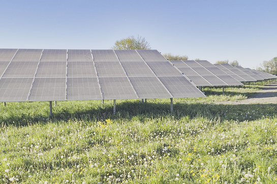 Die neue Freiflächen-Solaranlage der Freisinger Stadtwerke. Foto: Brigitte Fuchs Große Solarmodule stehen auf einer Wiese vor blauem Himmel.