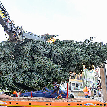 Das Prachtstück wird vorsichtig angehoben. (Foto: Stadt Freising)