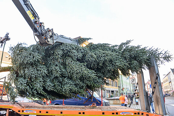 Das Prachtstück wird vorsichtig angehoben. (Foto: Stadt Freising)