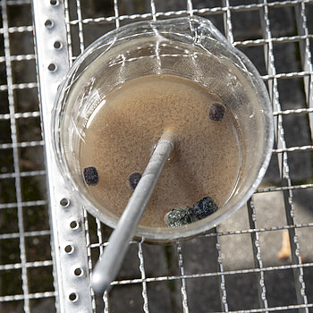 Schaumstoffwürfel des LINPOR®-Verfahrens (Foto: JS Deutschland) Schaumstoffwürfel des LINPOR®-Verfahrens (Foto: JS Deutschland)