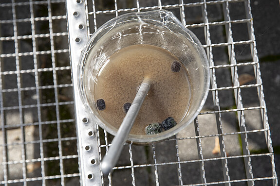 Schaumstoffwürfel des LINPOR®-Verfahrens (Foto: JS Deutschland) Schaumstoffwürfel des LINPOR®-Verfahrens (Foto: JS Deutschland)