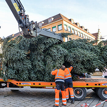 Und schon hängt der Baum am Haken. (Foto: Stadt Freising)