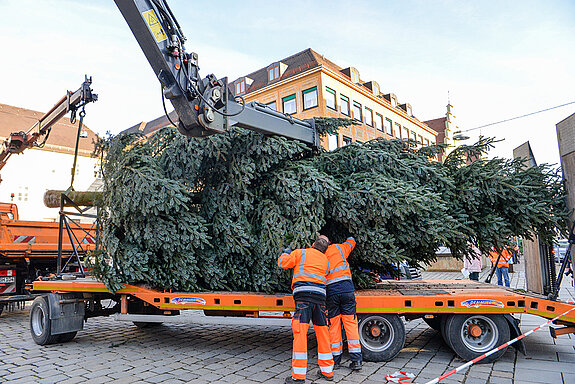 Und schon hängt der Baum am Haken. (Foto: Stadt Freising)