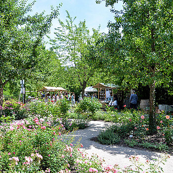 Impressionen von der Roseninsel am Rosentag 2021 in Freising. (Foto: Stadt Freising)
