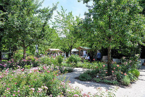 Impressionen von der Roseninsel am Rosentag 2021 in Freising. (Foto: Stadt Freising)