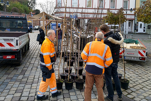 Anfuhr der Bäume im Container. (Foto: Stadt Freising)