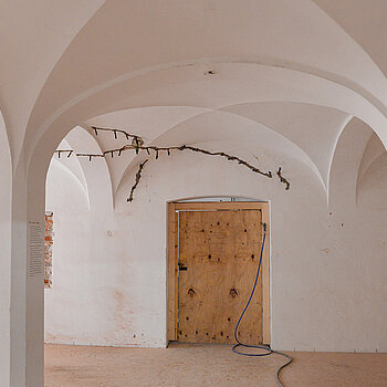 Auch in den Räumen des Stadtmuseums musste das Mauerwerk gefestigt werden: Zu sehen sind die schwarzen Kanülen, in die eine flüssige Zement-Suspension eingespritzt wurde. (Foto: Stadt Freising)