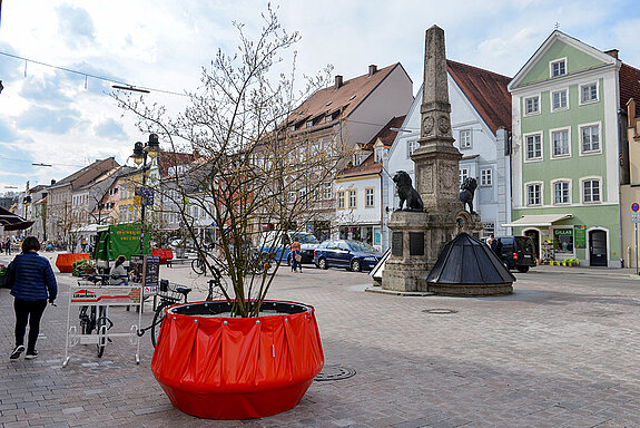 Die Obere Hauptstraße rund ums Kriegerdenkmal zieren Felsenbirnen. (Foto: Stadt Freising)