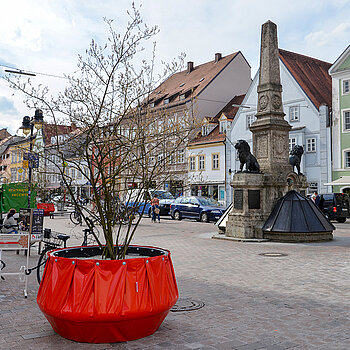 Die Obere Hauptstraße rund ums Kriegerdenkmal zieren Felsenbirnen. (Foto: Stadt Freising)