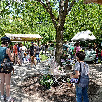 Blick auf einige Martkstände beim Rosentag 2021 im Rosengarten Freising. (Foto: Stadt Freising)
