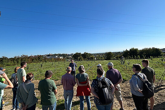 Die Demonstration der neuen Biohasel-Sichtungsanlage der HSWT in Weihenstephan stieß bei den Freisinger Bürgerinnen und Bürgern auf reges Interesse. Foto: Klaus Wiesinger eine Gruppe Menschen betrachtet bei Sonnenschein und blauem Himmel eine Pflanzfläche.