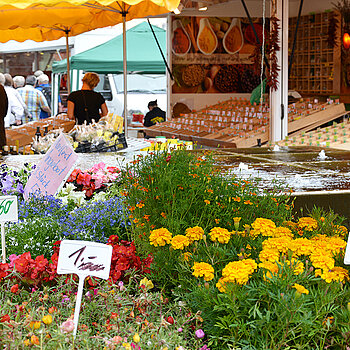 Stimmungsbild vom "Grünen Markt" auf dem Marienplatz - mit vielen Blumen und Pflanzen
