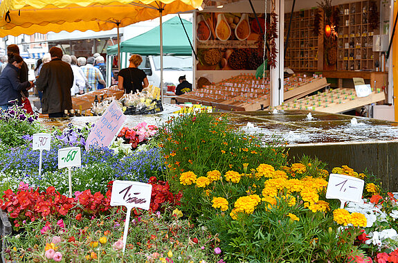 Stimmungsbild vom "Grünen Markt" auf dem Marienplatz - mit vielen Blumen und Pflanzen