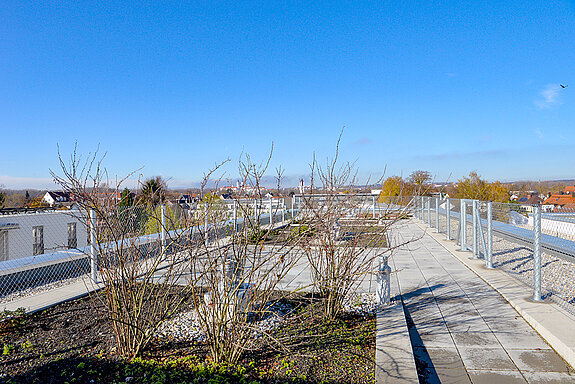 Eine der Dachterrassen des Mehrgenerationenwohnens: Der Dachgarten ist als Gemeinschaftsfläche nutzbar, Obst und Gemüse können angebaut - oder der sagenhafte Blick auf Freising genossen werden. (Foto: Stadt Freising)