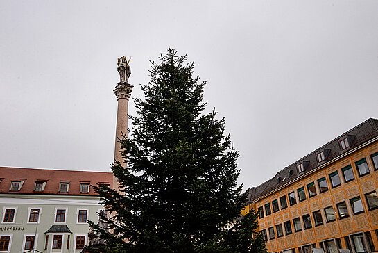 Weihnachtliche Atmosphäre am Marienplatz Freising. (Foto: Stadt Freising)