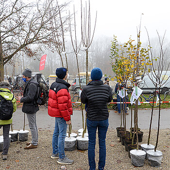 Gute Beratung: Auch wenn die Entscheidung im Vorfeld schon gefallen war, welcher Obst- oder Laubbaum den heimischen Garten zieren soll, hab es bei der Auswahl noch Tipps.  