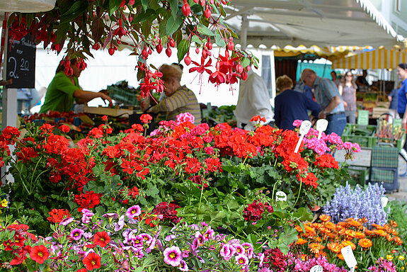 Verkaufsstand mit Blumen am Wochenmarkt Freising.