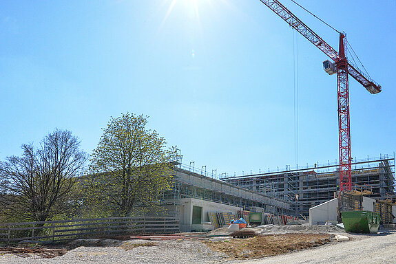 Sicherung der wertvollen Baumgruppe mit einem Bretterzaun. (Foto April 2021: Stadt Freising)