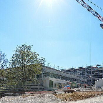 Sicherung der wertvollen Baumgruppe mit einem Bretterzaun. (Foto April 2021: Stadt Freising)