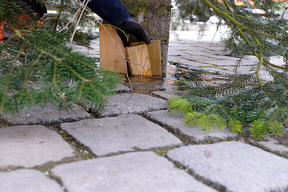 Nahaufnahme: Holzspatel werden in den Boden geklopft.