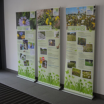 Blick in die Ausstellung „Tatort Garten – Ödnis oder Oase“, die im Amtsgerichtsgebäude gezeigt wurde. (Foto: Stadt Freising)