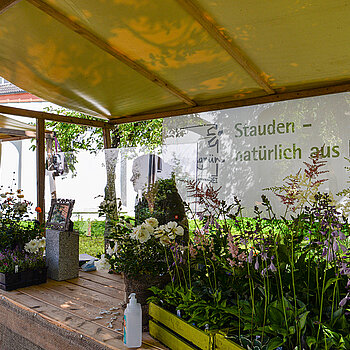 Zauberhafte Stimmung beim Rosentag 2021 im Amtsgerichtsgarten Freising. (Foto: Stadt Freising)