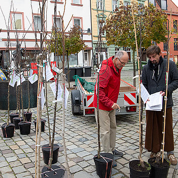 Florian Rüger vom Stadtplanungsamt (rechts) unterstützte bei der Auswahl des Obstbaumes. (Foto: Stadt Freising)