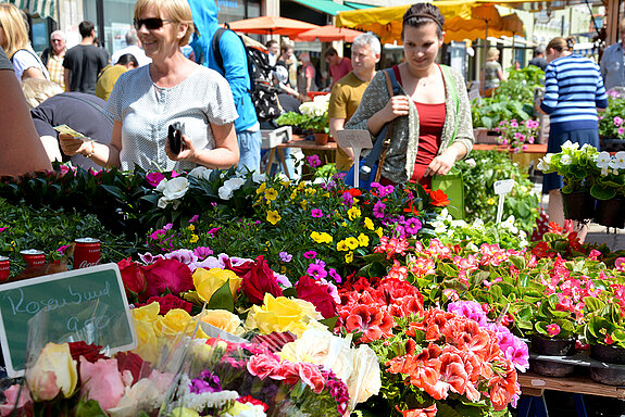 Attraktiver Verkaufsstand mit Blumen am Wochenmarkt Freising.