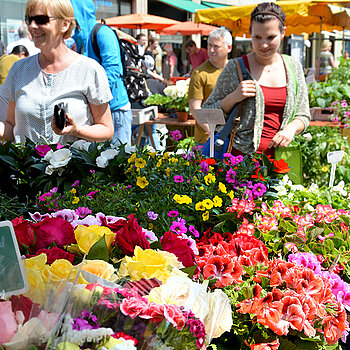 Attraktiver Verkaufsstand mit Blumen am Wochenmarkt Freising.