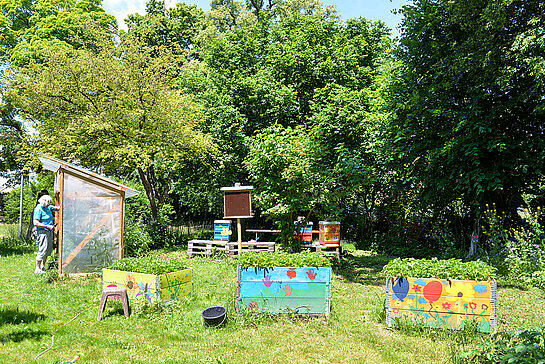 Blick auf einen Teil des neu angelegten Gartens mit Tomatenhaus (links), den Bienenstöcken im Hintergrund und den Erdbeer-Hochbeeten. (Foto: Stadt Freising) 
