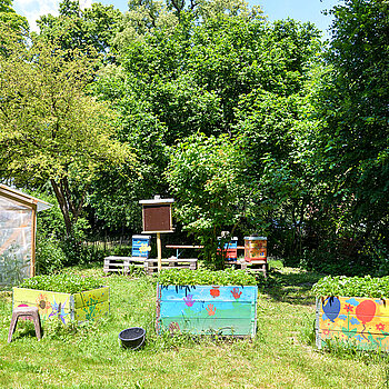 Blick auf einen Teil des neu angelegten Gartens mit Tomatenhaus (links), den Bienenstöcken im Hintergrund und den Erdbeer-Hochbeeten. (Foto: Stadt Freising) 