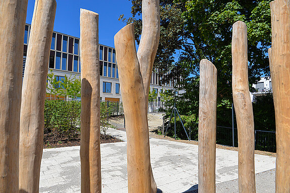 Fangen spielen oder einfach zwischen den Stangen herumtoben? Die Holzelemente lassen den Grundschüler*innen verschiedene Möglichkeiten zum Spielen. (Foto: Stadt Freising)