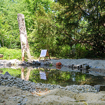 Der Teich ist frisch angepflanzt und wird sich bis zum nächsten Jahr sicherlich in eine (Wasser)Pflanzen-Oase verwandeln. (Foto: Stadt Freising)