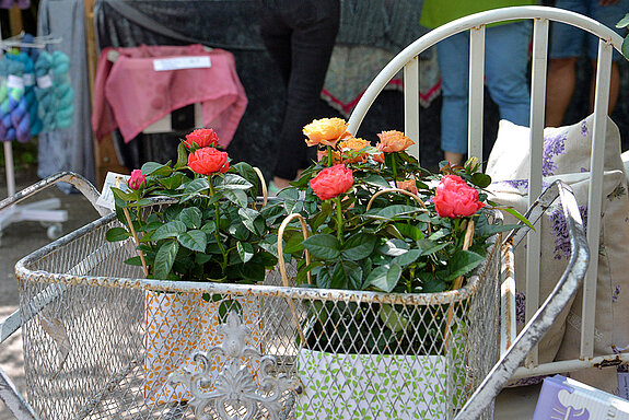 Rose to go: Wer keine Zeit zum Aussuchen einer Rose hatte, konnte hier bei den vorbereiteten Rosenstock-Tüten direkt zugreifen. (Foto: Stadt Freising)