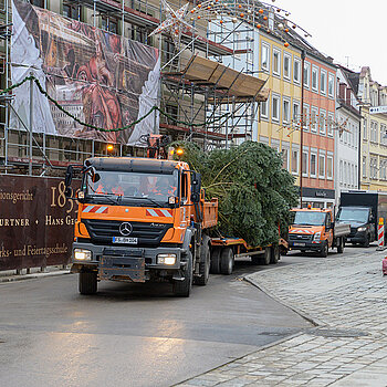 In einem Monat ist Weihnachten - und pünktlich trifft auch der große Christbaum am Marienplatz ein.
