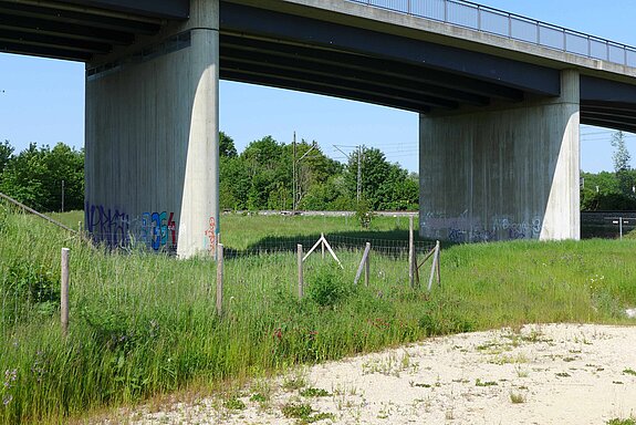 Graffitifl&auml;chen "West-Walls" an der Westtangente.