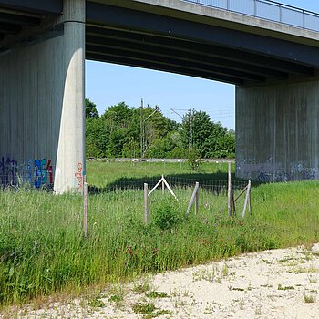 Graffitifl&auml;chen "West-Walls" an der Westtangente.