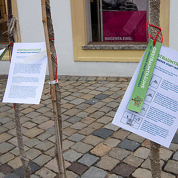 Die Obstbäume stammen von der Baumschule Baumgartner in Dietersburg, die jeden Baum mit Infos zu Pflanzung und Schnitt bestückt hat. (Foto: Stadt Freising)