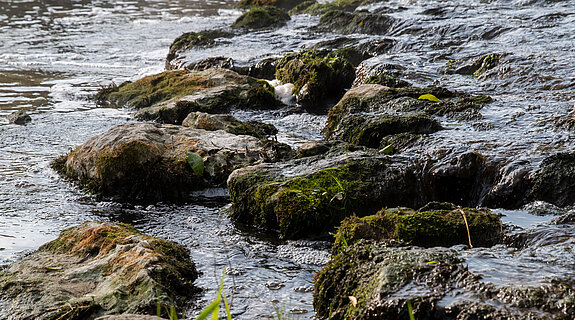 Isar (Foto: JS Deutschland)