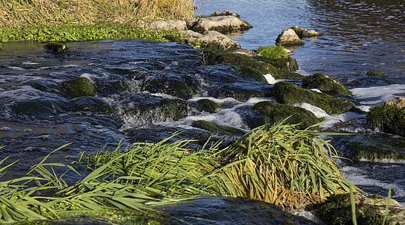 Isar (Foto: JS Deutschland) Isar (Foto: JS Deutschland)