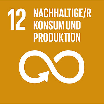 Ziel 12 von 17 nachhaltigen Entwicklungszielen der UN: nachhaltige Konsum- und Produktionsmuster sicherstellen