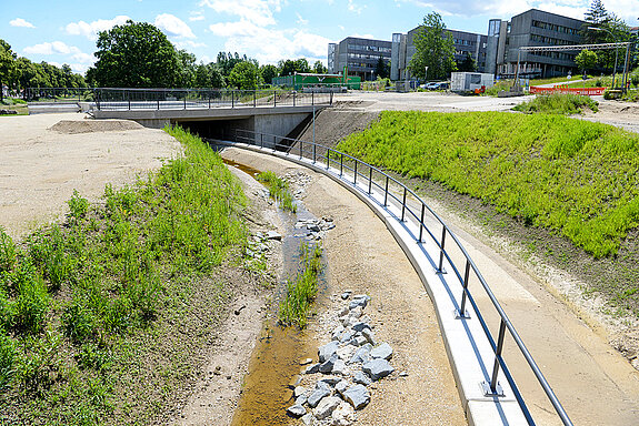 Der Thalhauser Graben, links im Bild, ist mit Flusssteinen naturnah angelegt. (Foto: Stadt Freising)