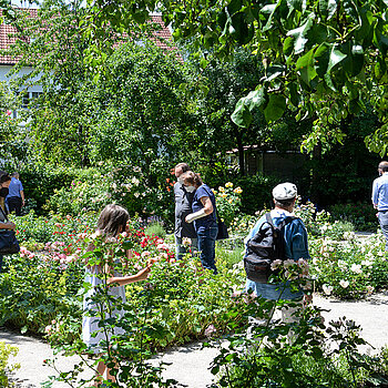 Auf der Roseninsel genossen die Gäste die schönen Rosenpflanzungen und die entspannte Atmosphäre. (Foto: Stadt Freising)
