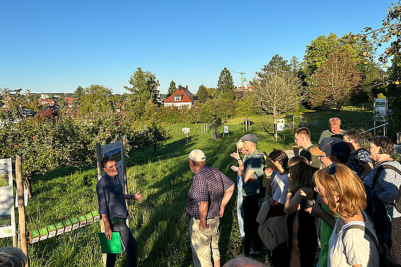 Der im vergangenen Jahr eröffnete Streuobstpfad am Weihenstephaner Nordhang bildete den Abschluss der Exkursion der Agendagruppe Biostadt zu den Weihenstephaner Obstgärten. Foto: Klaus Wiesinger Die Teilnehmenden stehen im Halbschatten über einem Obstgarten bei blauem Himmel. Im Hintergrund Häuser