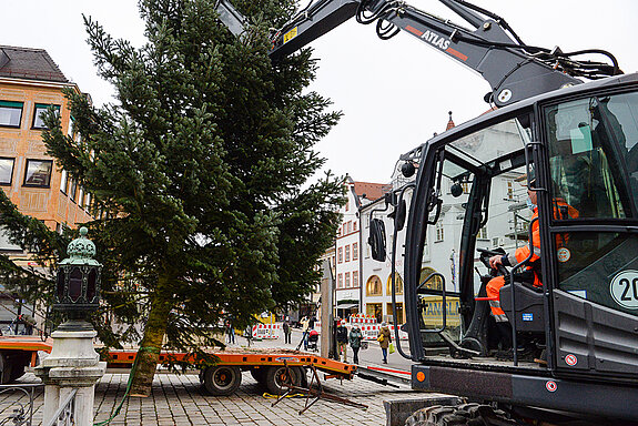 Dabei kann die Bauhof-Mannschaft auf viel Erfahrung zurückgreifen - entsprechend routiniert geht die Aufstellung des Christbaums über die Bühne. 