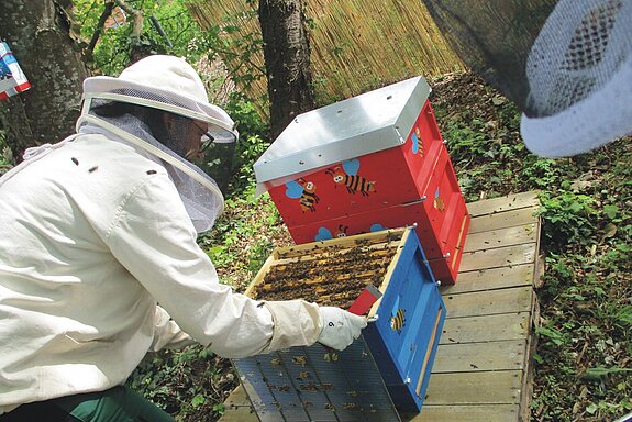 Wir haben zwei fleißige friedliche Bienenvölker und freuen uns wenn Ihr sie am Sebaldhaus bald besuchen könnt.