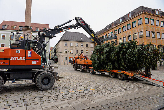 Noch ruht der Baum "sanft" auf dem Lkw-Anhänger.