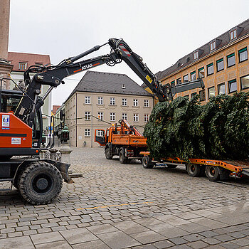 Noch ruht der Baum "sanft" auf dem Lkw-Anhänger.