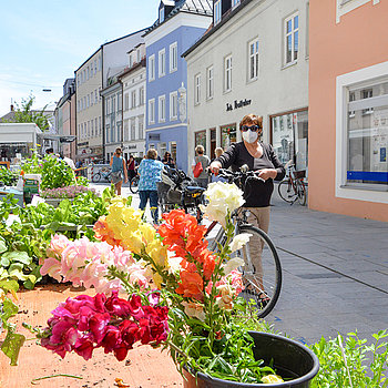 Blumen und Kräuter am Wochenmarkt Freising. (Foto: Stadt Freising)